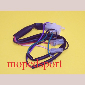 MALAGUTI Kabelboom achterlicht F12 F12LC-DD 01719500 ELEKTRISCHE DELEN
