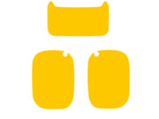 Honda Mb/mt Mtx Sticker Set Geel Passend Mtx - Sh Zijkap / Koplampspoiler