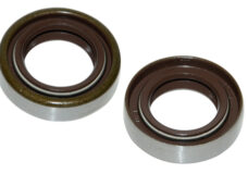 Keerring dubbele veer viton 17x28x7