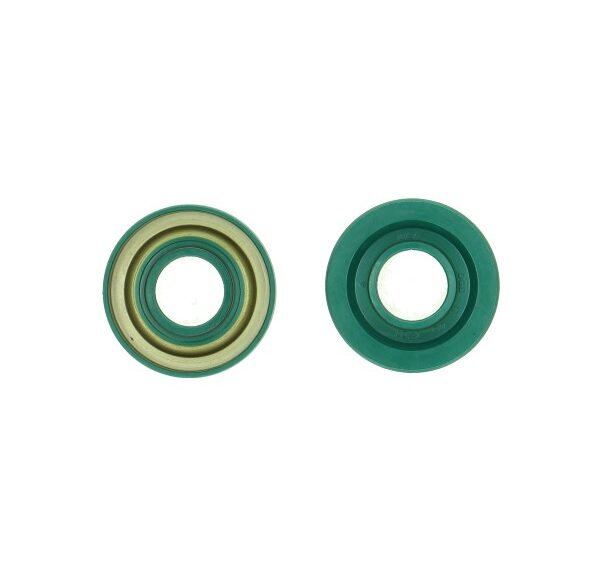 Keerring 17x40x7/01 dgd
