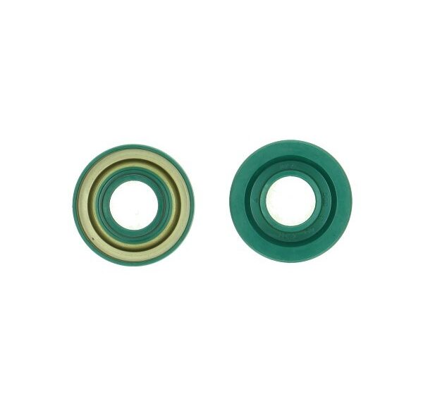 keerring 17x40x7/01 dgd