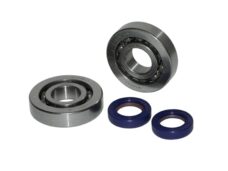 lager+keerringset polini krukas race 50cc sco piaggio 2t 282.0001