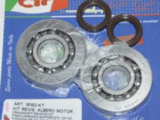 lager+keerringset cif krukas viton NTN dragster