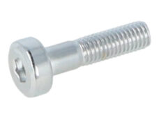 Bout Kymco origineel — geschikt voor Kymco Stuurbalansgewicht Torx m8x32mm Agility 16+