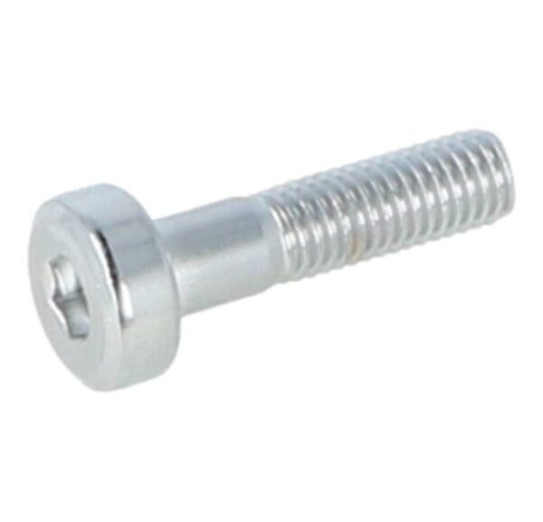 bout Kymco origineel stuurbalansgewicht torx m8x32mm agility 16+