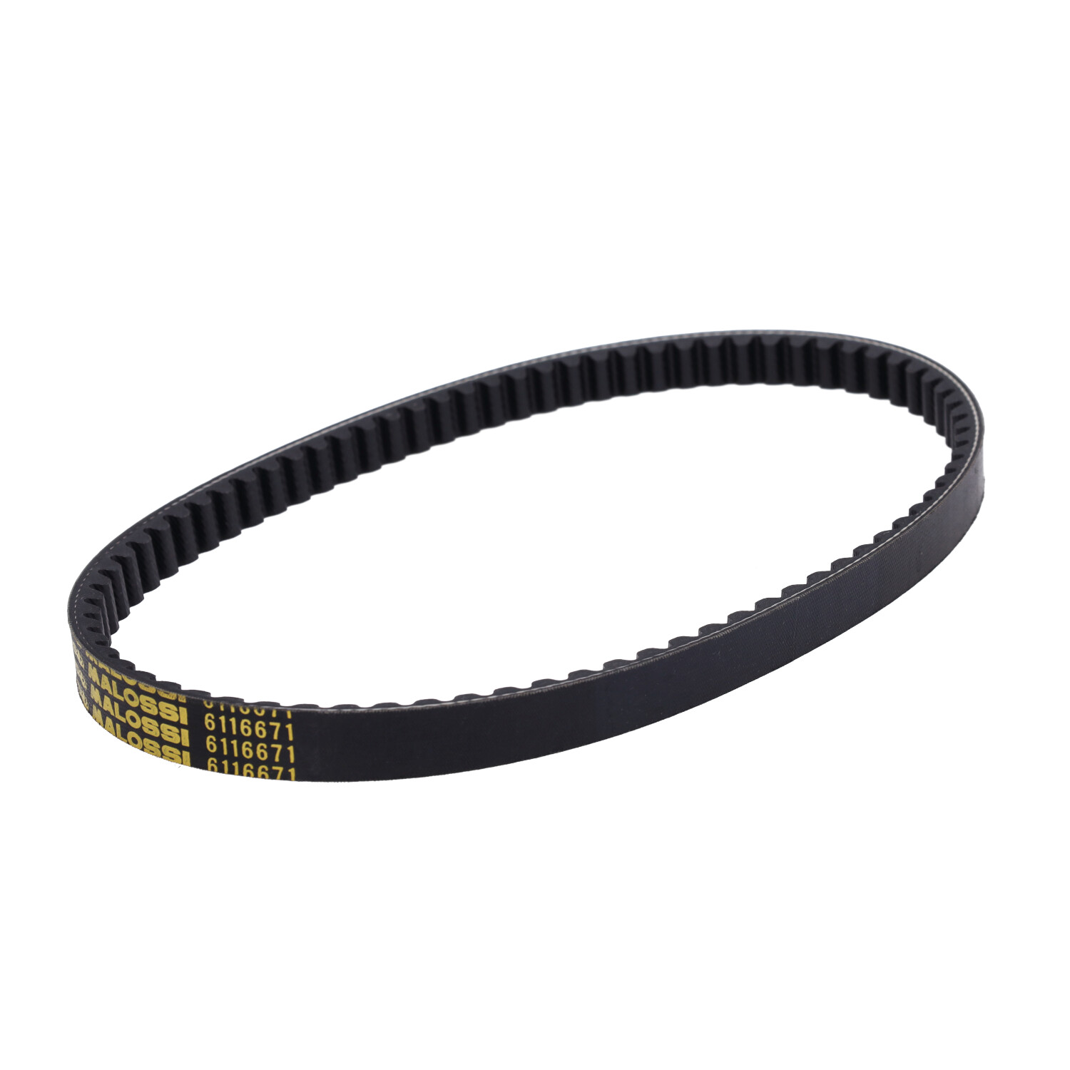 Malossi V-snaar 776x19 voor Honda NSC50R en Vision 4T