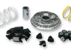 Malossi variatorsats Euro 3/4/5 för Honda PCX 125 Forza ADV150 SH 125 150