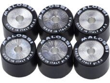 variorolset malossi 9.5gr 20x14.8 pcx 150 6611534.z0