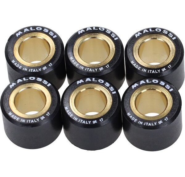 variorolset malossi 17.0gr 20x17mm gts super 300cc