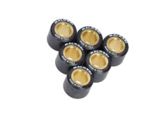Variorolset Malossi 9.5gr 20x17mm GTS super 300cc