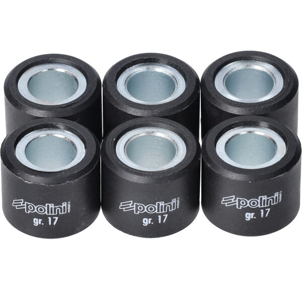 Variorolset Polini 17.0gr 20x17mm GTS 300