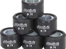 variorolset polini 13.8gr euro-4/5/5+ 20x15 primavera 125 4t