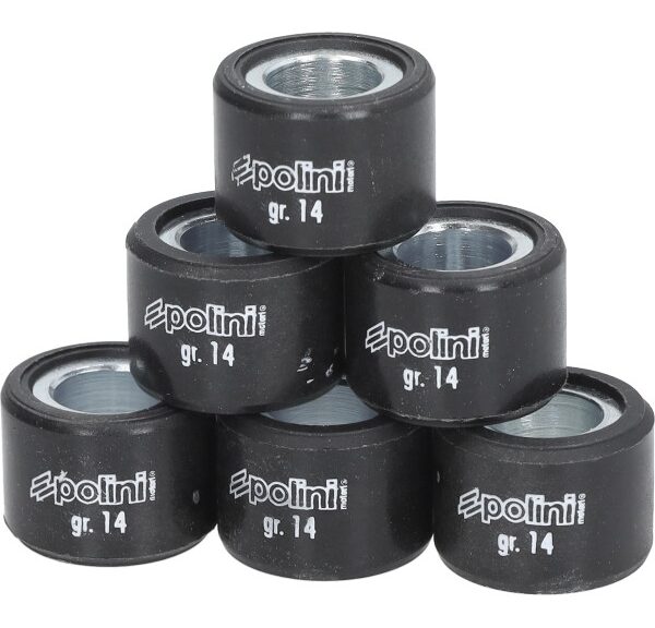 variorolset polini 13.8gr euro-4/5/5+ 20x15 primavera 125 4t