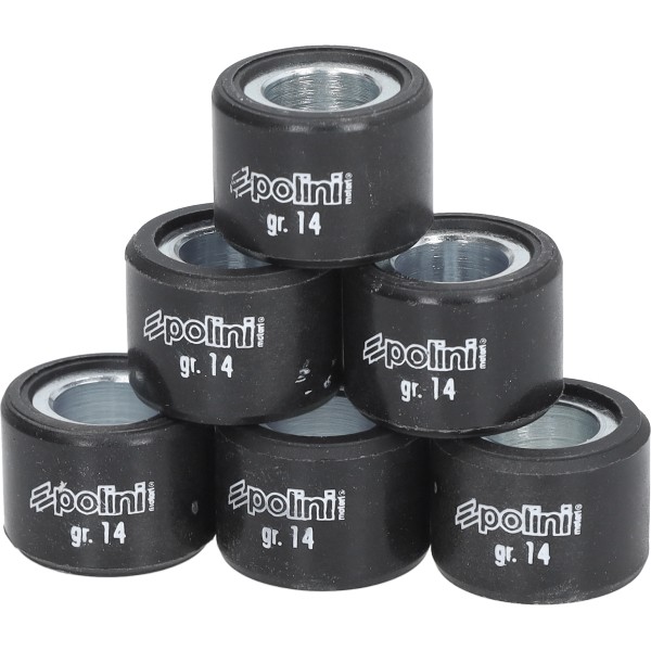 variorolset polini 13.8gr euro-4/5/5+ 20x15 primavera 125 4t