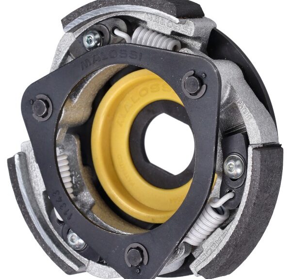 koppelingsegment malossi delta systeem Honda forza 125 5217040