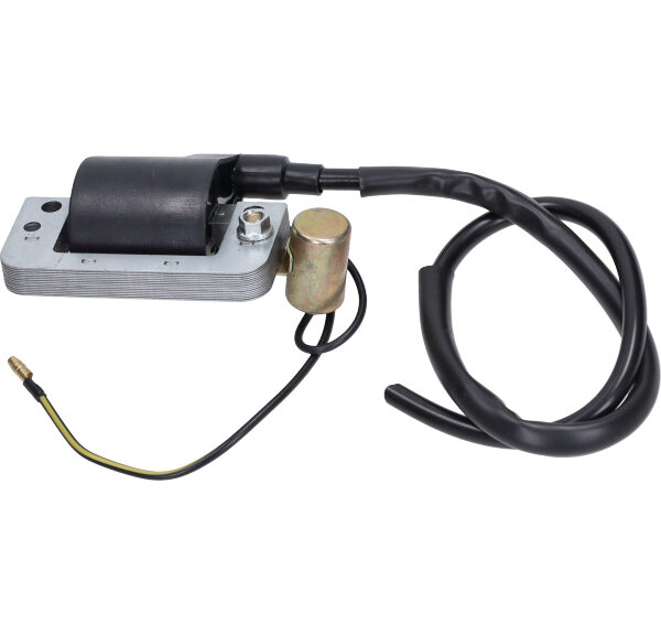 Bobine DMP + kabel — geschikt voor Honda Camino