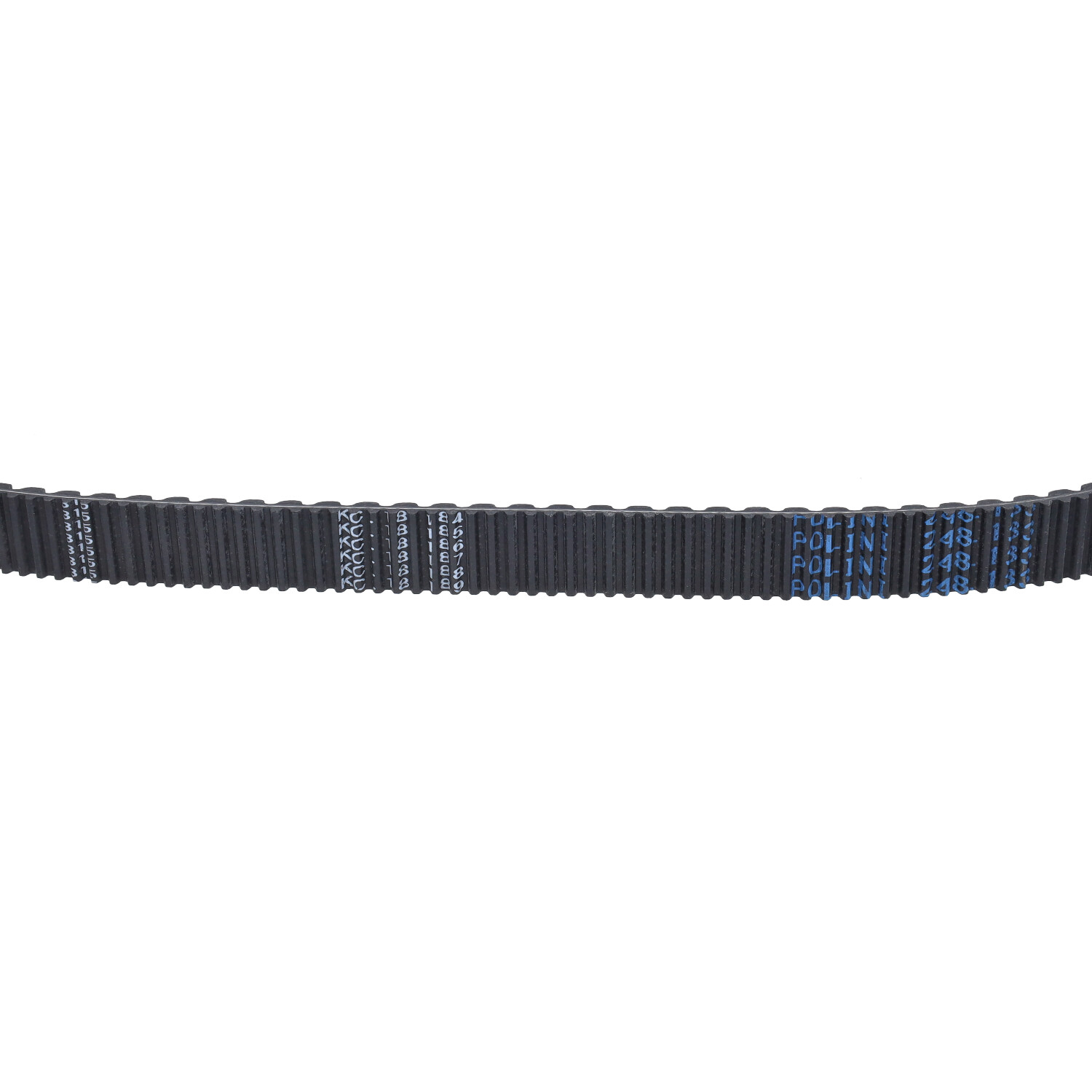 V-snaar Polini 955x24.2 Voor Honda Sh 125i En Sh 150i Euro 5 - Afbeelding 3