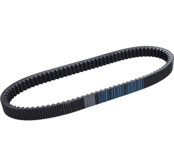 v-snaar dayco/pirelli forza 350