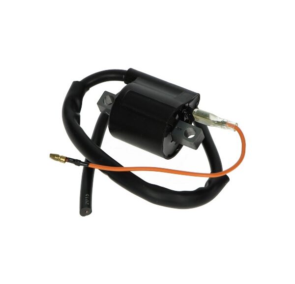 Bobine DMP klein model Ducati SR nt