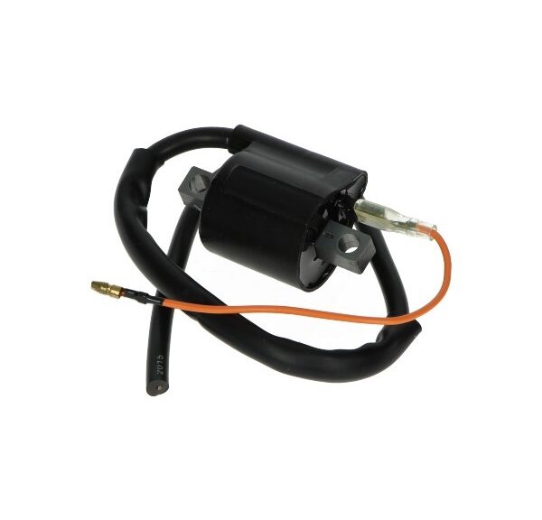 bobine DMP klein model Ducati sr nt