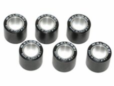 variorolset malossi 12.5gr 19x17mm Aprilia/Piaggio/Vespa 669456.m0