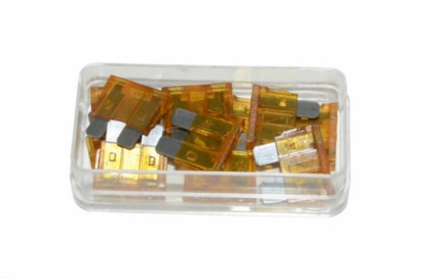 zekering model insteek 5amp 12pcs
