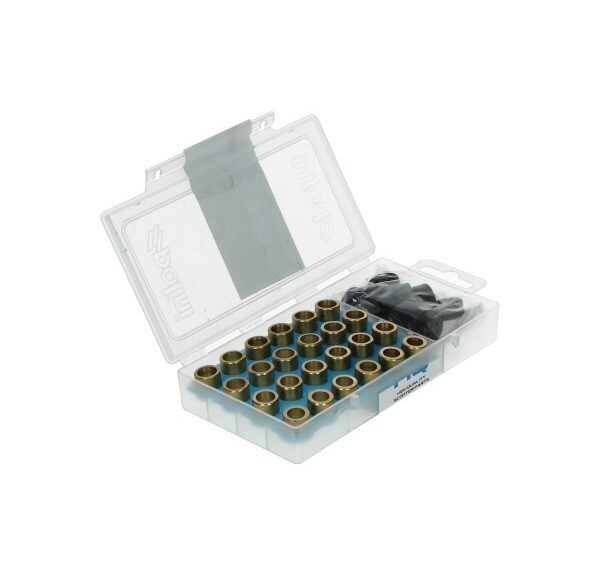 Variorolset Polini 4.5-6gr 16x13mm 24pcs GY6 — geschikt voor Piaggio Ot