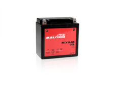 Accu Malossi MTX14-BS gel beverly