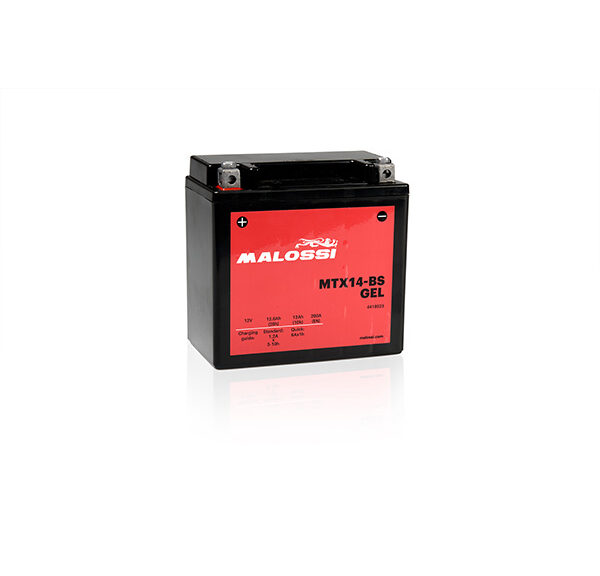 Battery Malossi MTX14-BS gel beverly