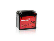Accu Malossi MTZ7S gel adv150