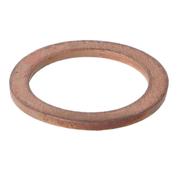 Afdichting ring remleiding banjobout