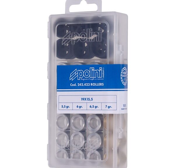 variorolset polini 5.5/6/6.5/7 gram 19x15.5mm sco piaggio nt 242.423