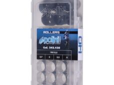 variorolset polini 2.7/3/3.5/4 gram 19x15.5mm sco piaggio nt 242.420