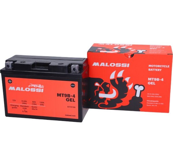 accu malossi euro-3 MT9B-4 Gel t-max500