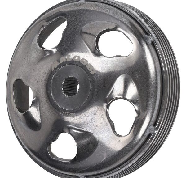 koppelinghuis malossi adv150