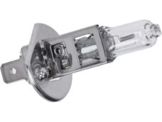 lamp 12V halogeen bosma 55W h1 piaggio
