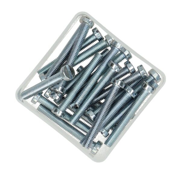 Bout cilinderkop met sleuf m6x45mm