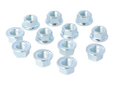 Moer + flens vliegwiel m10x1 12pcs camino — geschikt voor Puch