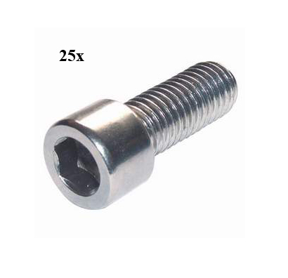 Bout inbus m6x10mm