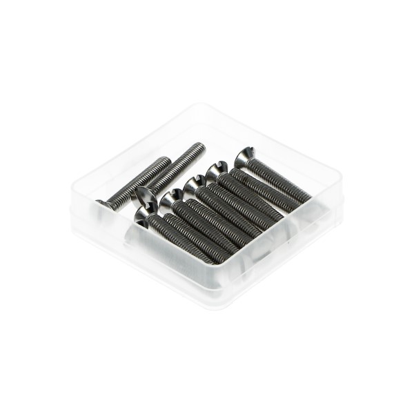 12 stuks chromen M6x40mm carterdekselbouten voor Kreidler brommer