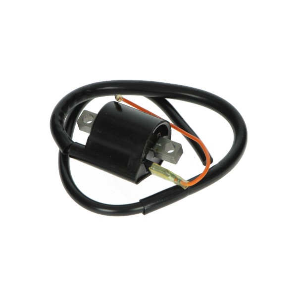 Bobine DMP voor MBK Booster Yamaha Aerox BWS Minarelli horizontaal