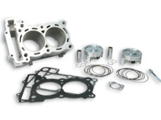 Malossi complete cilinder 560cc 70mm voor Yamaha T-Max 530