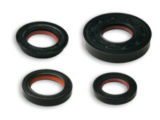 Tætningssæt Malossi 2t FKM/PTFE minarelli hor+vert
