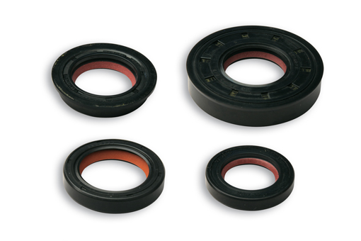 Keerringset Malossi 2t FKM/PTFE minarelli hor+vert