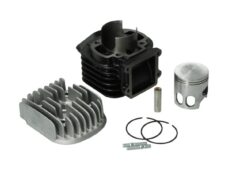 Polini cilinder met kop 47mm voor Minarelli verticaal motorblok