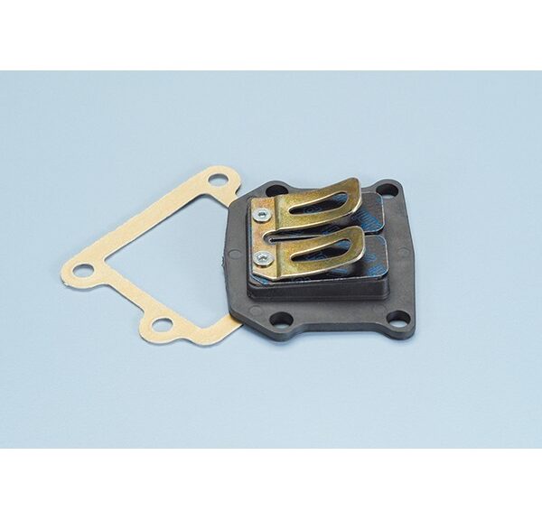 membraan polini minarelli vert 213.0050