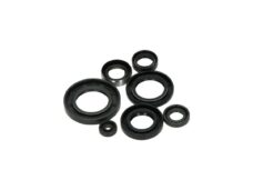 Juego de juntas de aceite BAC para motor de disco rotativo Yamaha FS1