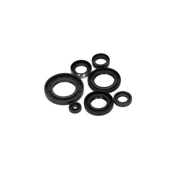 Keerringset bac — geschikt voor Yamaha Roterende Schijf Motor fs1