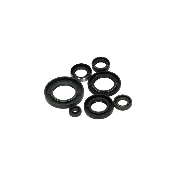 Keerringset BAC voor Yamaha FS1 roterende schijf motor