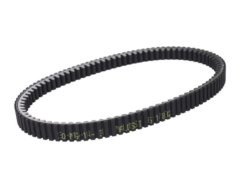 V-snaar Malossi 974x24.9 euro 4/5 tricity 300